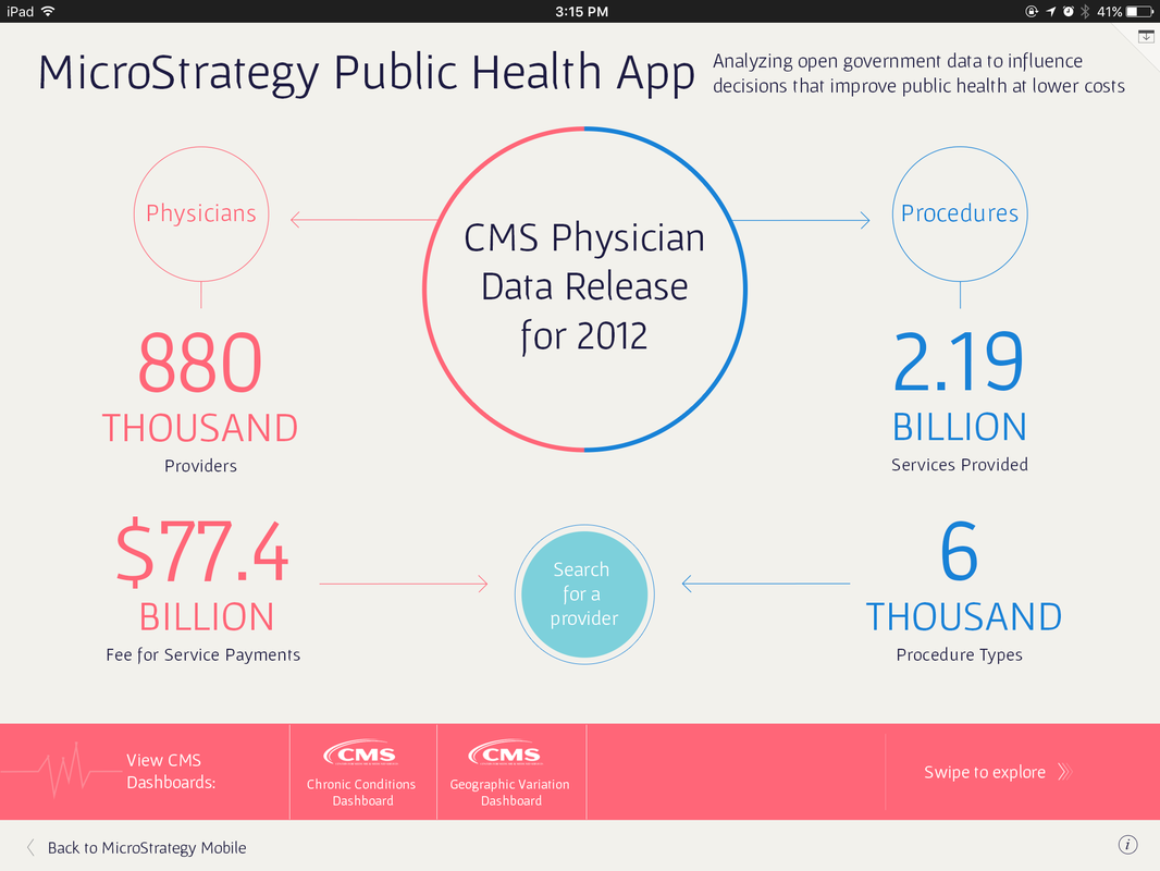 MicroStrategy Visual Insights — On iPad (10)