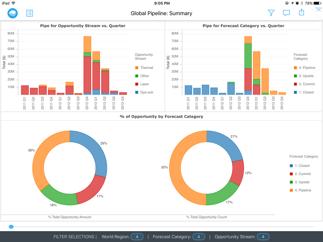 MicroStrategy Visual Insights — On iPad (12)