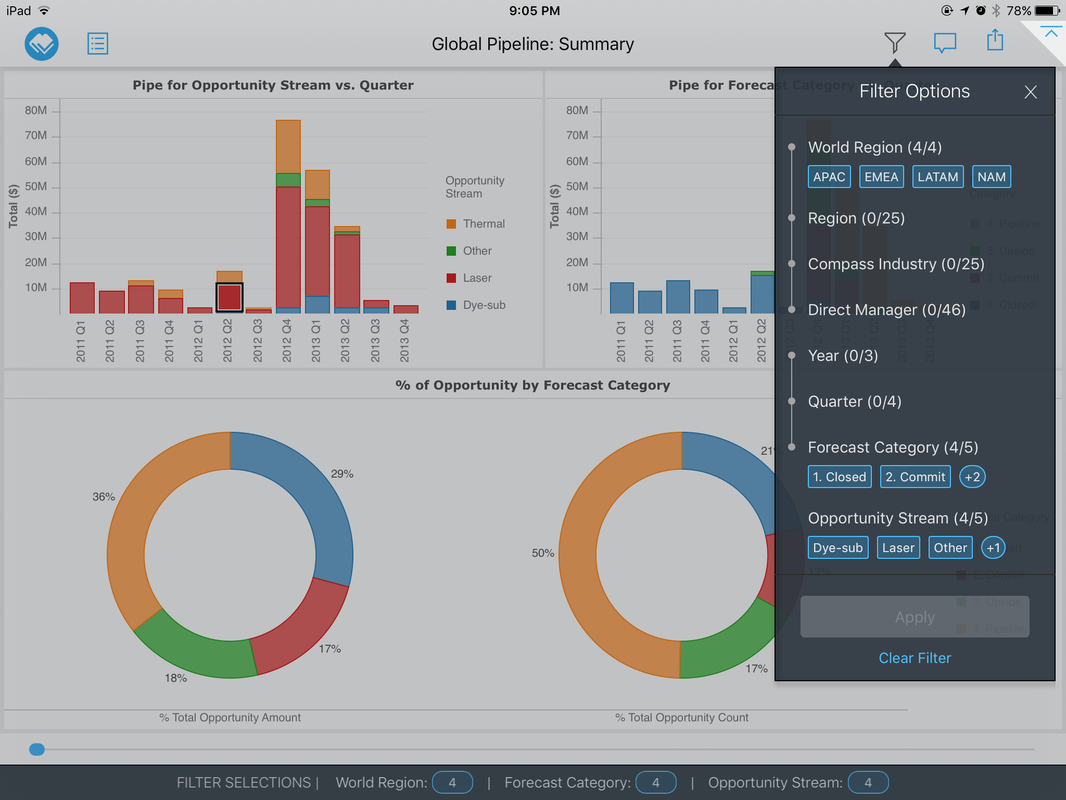 MicroStrategy Visual Insights — On iPad (15)