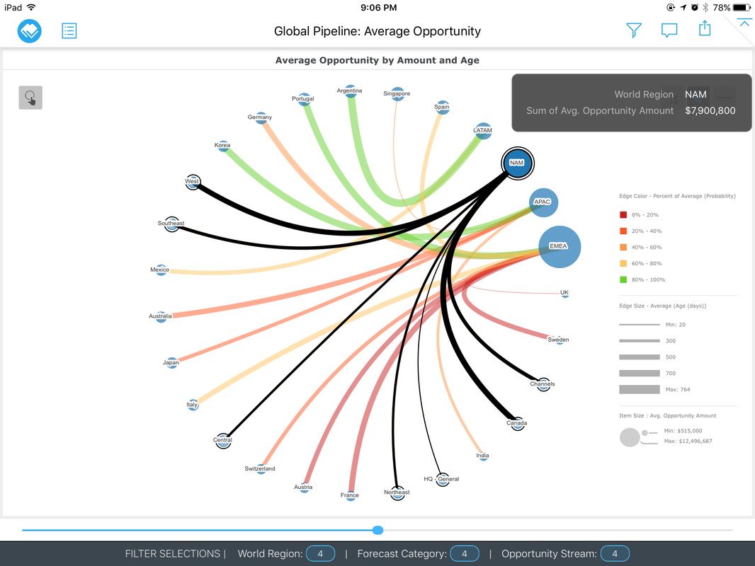 MicroStrategy Visual Insights — On iPad (20)