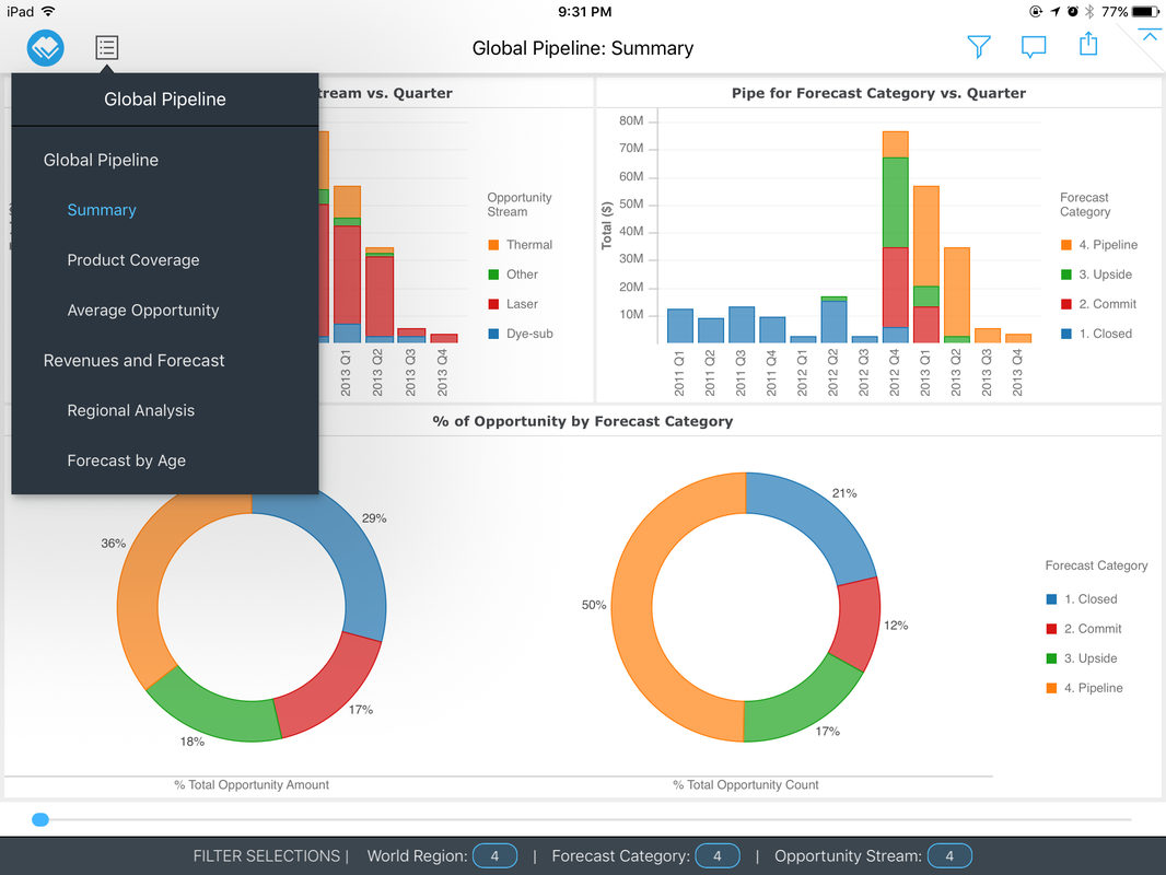 MicroStrategy Visual Insights — On iPad (13)
